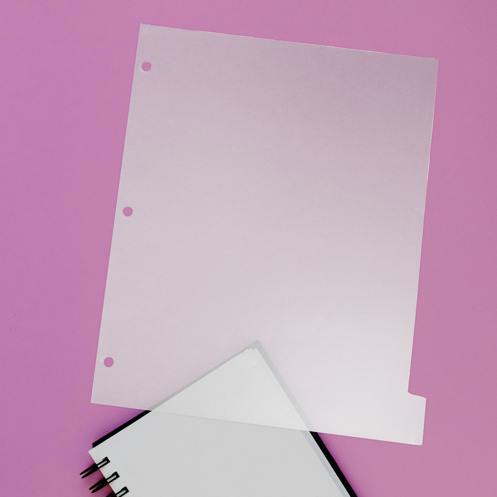 8 Sheets Lightweight PP Index  - Tab Divider A4 recensie en prijs