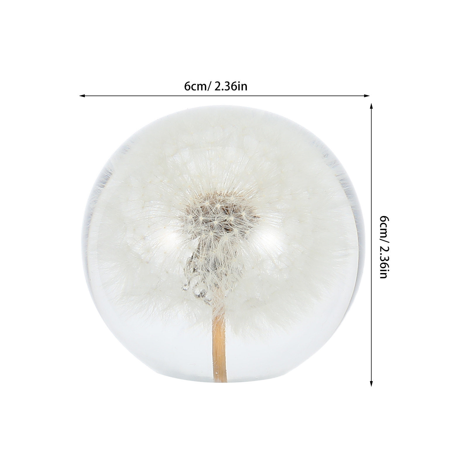 Dandelion Crystal Ball Glass S - Paper Weight Crystal recensie en prijs