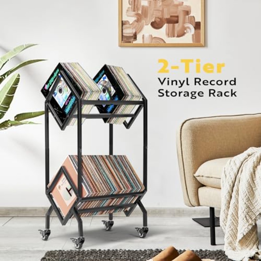 Vinyl Record Storage Rack, 2 T - Magazine Holder Rack recensie en prijs