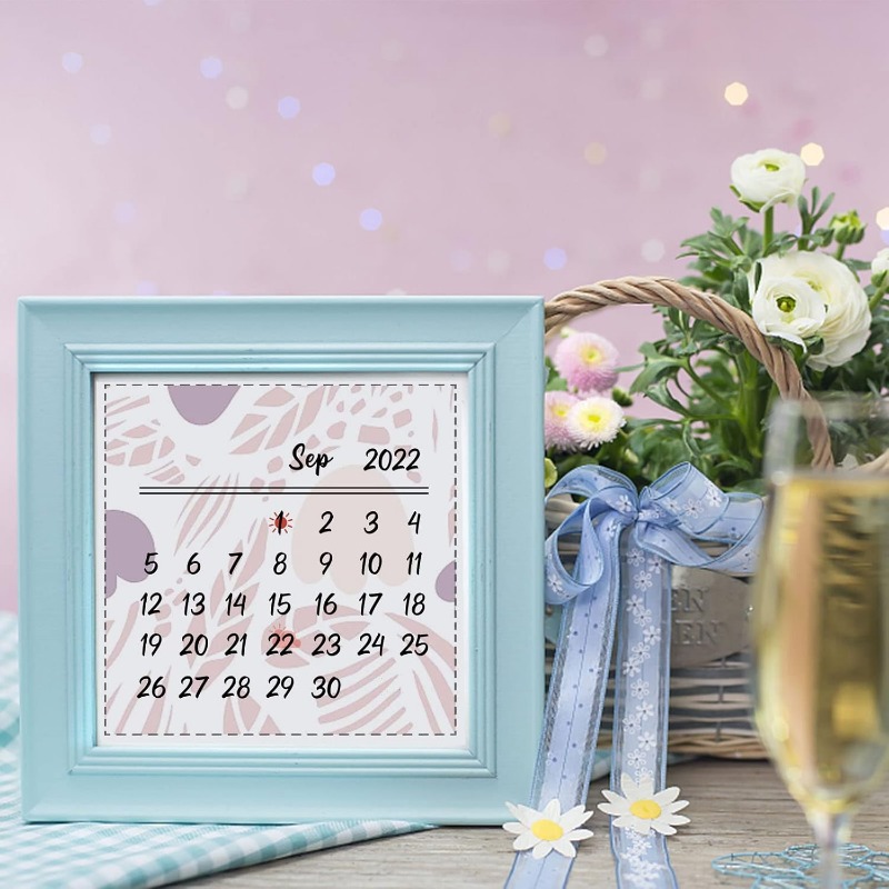 1PC 8.3x5.8in Calendar Clear S - Rubber Date Stamp recensie en prijs