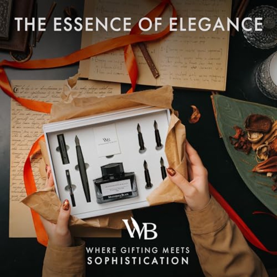 Fountain Pen Gift Set, Include - Fountain Pen Bottled Ink recensie en prijs
